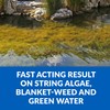 CrystalClear Algae D-Solv Pond Algae Control, Fast-Acting EPA Registered Algaecide,
