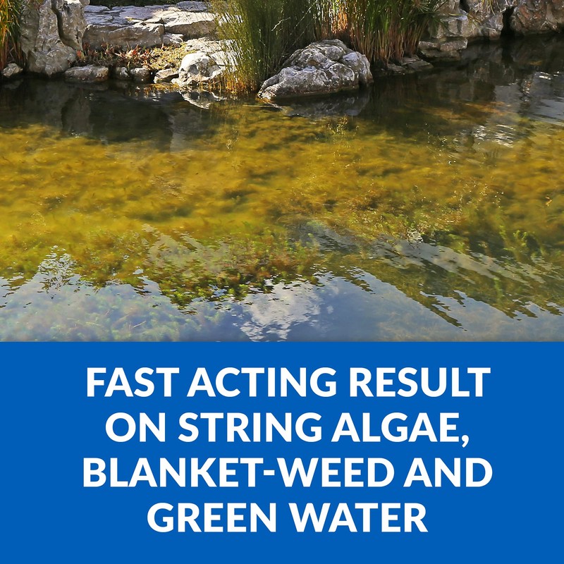 CrystalClear Algae D-Solv Pond Algae Control, Fast-Acting EPA Registered Algaecide,