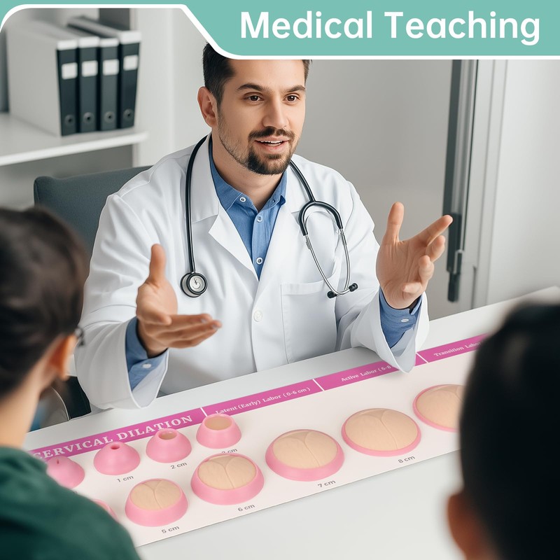 MedEduQuest Cervical Dilation Simulator with 0-10cm, Gynecological Examination Model, for