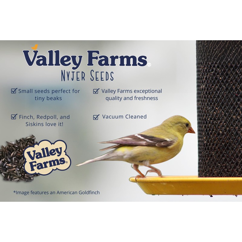 Valley Farms Nyjer Seed Wild Bird Food for Outside Feeders,