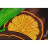 Trader Joe's Dark Chocolate Orange Sticks 10 oz (Pack of