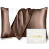 Utukky Silk Pillowcase, 100% Silk on One Side, Tencel, 16.9"