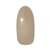PREGEL Muse PGU-S1096 Color Gel Taupe Skin 3g