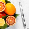 BURIUS Grapefruit Knife Curved Serrated Blade – Stainless Steel Fruit