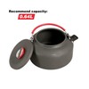 REDCAMP 0.8L Small Camping Kettle, Folding Water Pot with Carrying