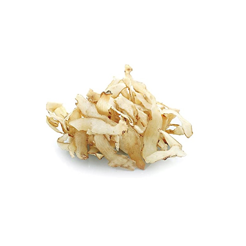 Solomon's Seal - Polygonatum biflorum Dried Root Slice from Nature