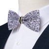 DiBanGu Rhinestone Bow Ties for Men Adjustable Sequin Diamond Pre-tied