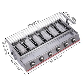 6 Burner Gas BBQ Grill Stainless Steel Barbecue Table Top Grill Outdoor Cooking