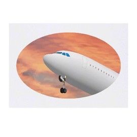 'Aeroplane Ascent' Temporary Tattoo - Water Resistant, Skin-Safe, Non-Toxic Transfer (TO00084299)