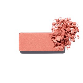 Shu Uemura Face Color (Refill) 0.1 oz (3 g) ES Rusty Coral 364 Cheek Powder Genuine Product