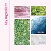 Cha&amp;Park Tone-Up Protection Sun (SPF 42/PA+++) 50ml / 차앤박 톤업