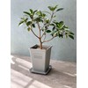 Yawata Kasei Papier Eco Pot Square Long WH 190 241423