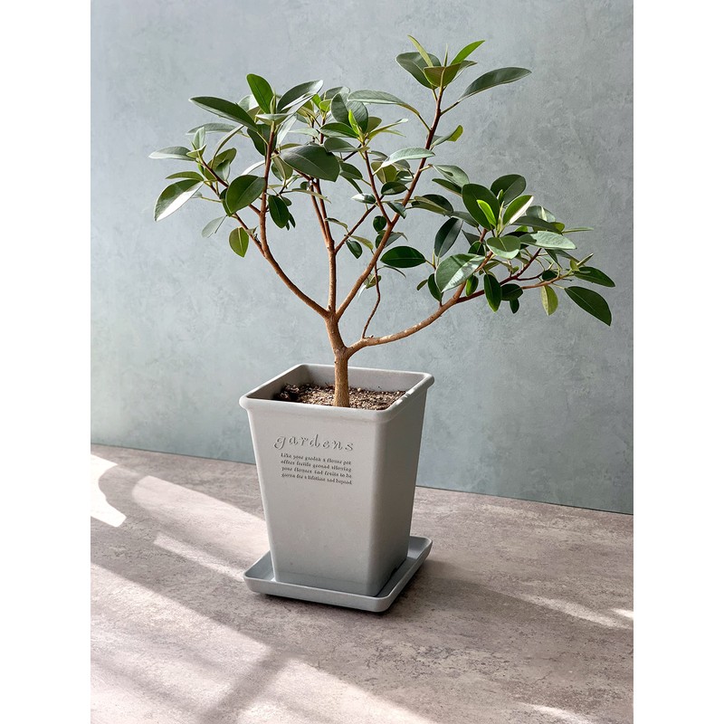 Yawata Kasei Papier Eco Pot Square Long WH 190 241423