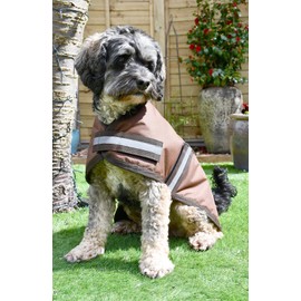Rhinegold Waterproof Dog Coat-20(50cm)-Brown