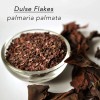TradeKing Organic Dulse Flakes - Sun Dried, Wild Crafted, North