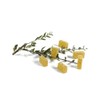 Sosa Yellow Pectin Rapid Set 500 g