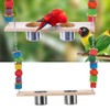 Bird Feeding Dish Cups with Parrot Perch Swing Natural Colorful
