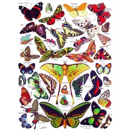 New York Puzzle Company - Vintage Images Butterflies ~ Papillons - 1000 Piece Jigsaw Puzzle