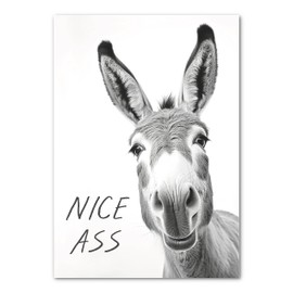 LAVEMA Bathroom Decorative Pictures - Poster DIN A4 without Frame - Funny Wall Decoration - Black White Wall Pictures - Toilet Decoration - Donkey