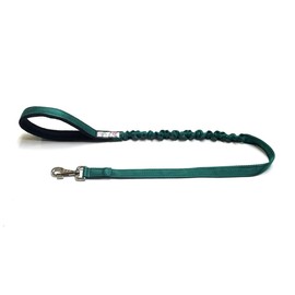 Dog Lead With Shock Absorbing Bungee Cord Training Walking Leash Soft Padded Handle (45" (1.1 Metres), Forest Green)