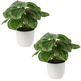 Briful 2 PCS Artificial Potted Alocasia Begonia Calathea Plants Mini Fake Plants in Plastic Pot Small Greenery Faux Plants Indoor for Home Office Desk Room Table Bathroom Bedroom Decorations