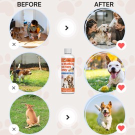 Qucship 8 Oz Not Here Dog Spray - Simple and Effective for Defining Pet-Free Zones - Safe Pet Training Aid to Stop Inappropriate Peeing