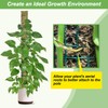 HOLANHING 60"/40"/24" Metal Moss Pole, D Shape Sphagnum Moss Pole,