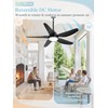 46" Outdoor Ceiling Fan with Lights,Plug in Hanging,IP65 Waterproof(Black)