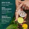 Badger Healing Balm - 2oz - 2 Pack