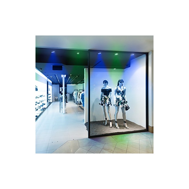 Westinghouse 0315100 15W PAR38 LED Outdoor Bulb, Flood Blue E26