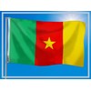 PHENO FLAGS Cameroon Flag 90 x 150 cm with Brass
