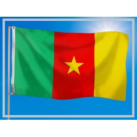 PHENO FLAGS Cameroon Flag 90 x 150 cm with Brass Eyelets Weatherproof National Flag for Flagpole 100% Polyester