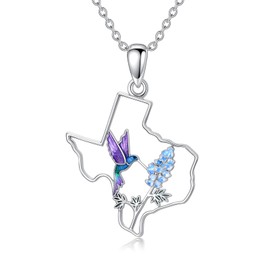 MEIDERBO Texas Hummingbird Necklace 925 Sterling Silver Hummingbird Texas Jewelry Gifts Map Flag Hometown Pendant for Women Love TX