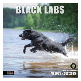 RED EMBER Black Labs 2025 Wall Calendar 12 Month | 12" x 24" Open | Thick & Sturdy Paper | Giftable | Calendar 2025