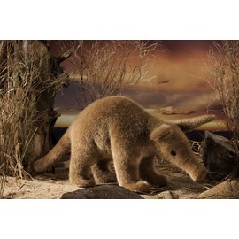 Aardvark - exquisite plush collectors soft toy - Kosen / Kösen - 35cm - 5950