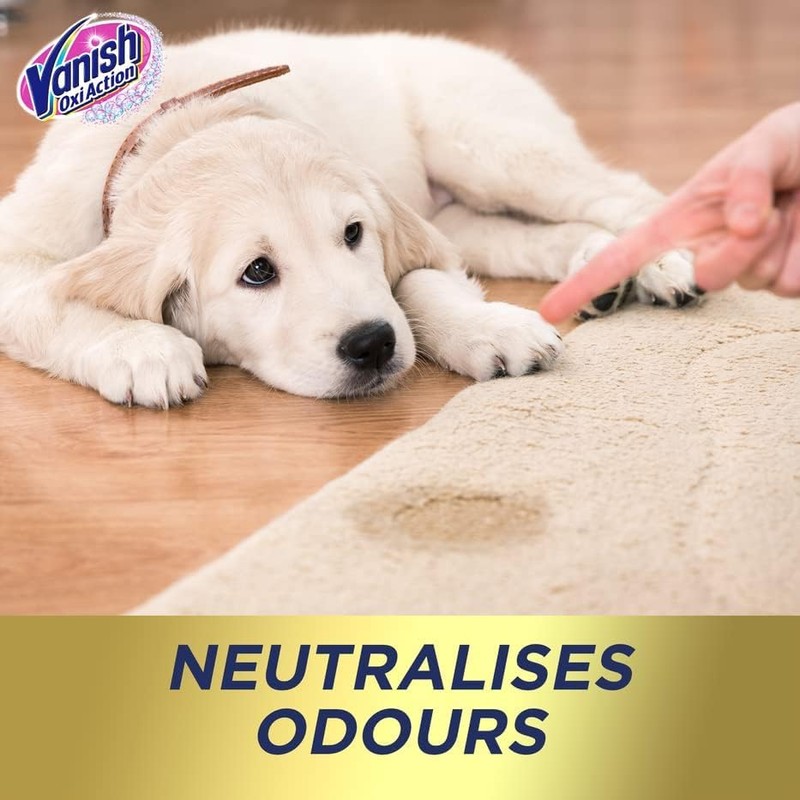 Vanish Oxi Action Powerspraycarpet and Upholstery Stain Remover 500 ml