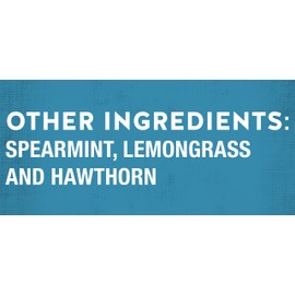 Celestial Seasonings | Sleepytime Extra | 2 x 20 bags