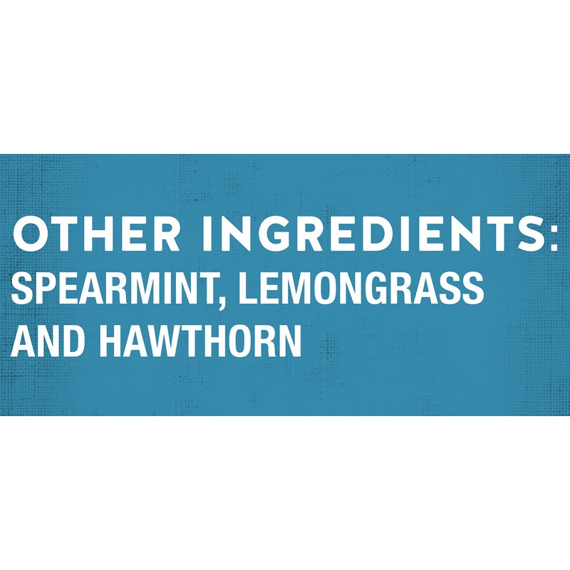 Celestial Seasonings | Sleepytime Extra | 2 x 20 bags