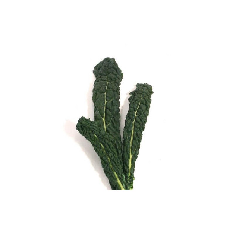 Viridis Hortus - Nero Di Toscana Borecole Curly Kale 750