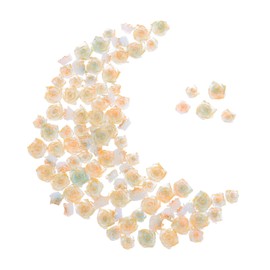 Vaguelly 100pcs Gradient Color Floral Charms for Nail Art Romantic Manicure Accessories for Women DIY Crafting and Party Looks