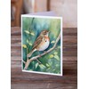 Caroline's Treasures Vermont Hermit Thrush Greeting Cards Pack of 8