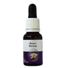 Living Essences Brown Boronia 15ml