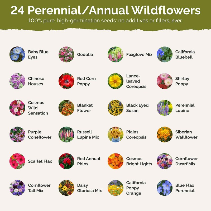 Eden Brothers Pacific Northwest Wildflower Mixed Seeds for Planting, 1/4