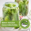 Sow Right Seeds Sow Right Seeds - National Pickling Cucumber