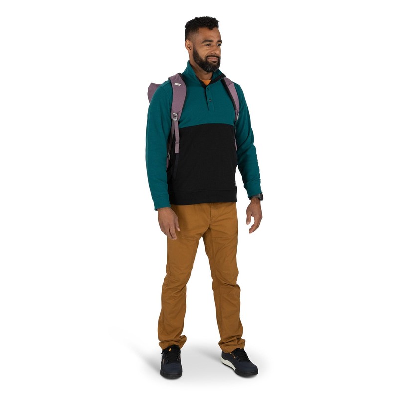 Osprey Arcane Roll Top Commuter Backpack, Purple Dusk Heather