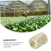 NOLITOY 22pcs Hydroponic Plant Grow Plugs for Soilless Transplanting Plugs