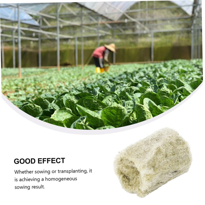 NOLITOY 22pcs Hydroponic Plant Grow Plugs for Soilless Transplanting Plugs