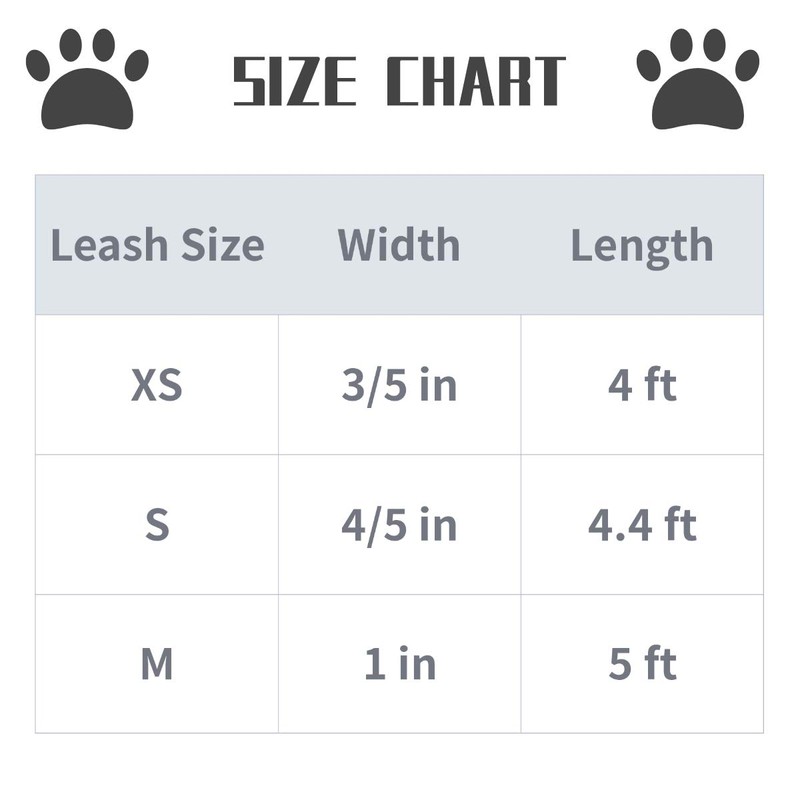 Lionet Paws Easter Day Dog Leash Matching Dog Collar for