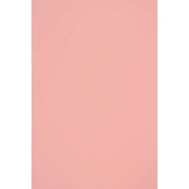 100 Sheets Light Pink Coloured Paper DIN A4 210 x 297 mm, 140 g, Woodstock Pink, Eco, Recycled Paper – Ideal for Weddings, Christmas, Birthday, Invitations, Business Cards, Crafts and Decorating
