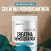 Restart Creatina Monohidratada Micronizada Sin Sabor | Redefinimos el Estándar